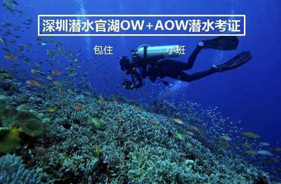 首届松花江滑冰马拉松｜中外选手同台竞争 冰上龙舟赛裁判教你怎么看比赛